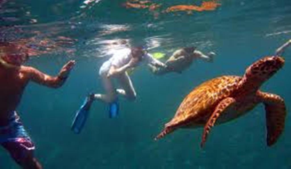 Kiayazo Hotel Quần đảo Gili Ngoại thất bức ảnh